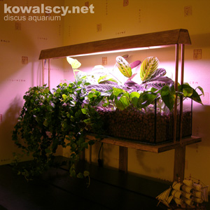 Reef Aquarium @ 2005